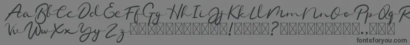 Chamelon Font – Black Fonts on Gray Background