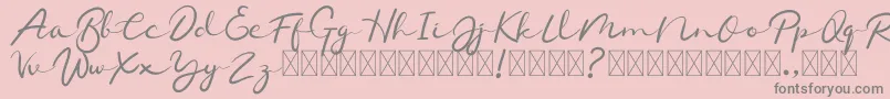Chamelon Font – Gray Fonts on Pink Background