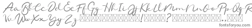 Chamelon Font – Gray Fonts on White Background