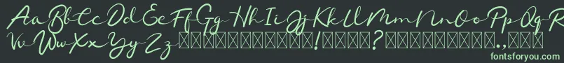 Chamelon Font – Green Fonts on Black Background