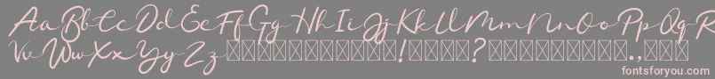 フォントChamelon – 灰色の背景にピンクのフォント