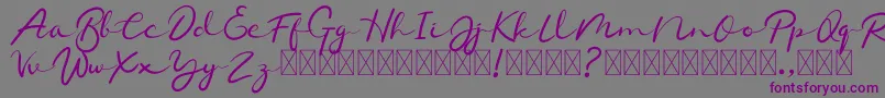 Chamelon Font – Purple Fonts on Gray Background