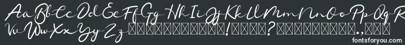 Chamelon Font – White Fonts