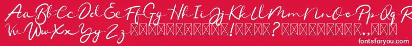 フォントChamelon – 赤い背景に白い文字