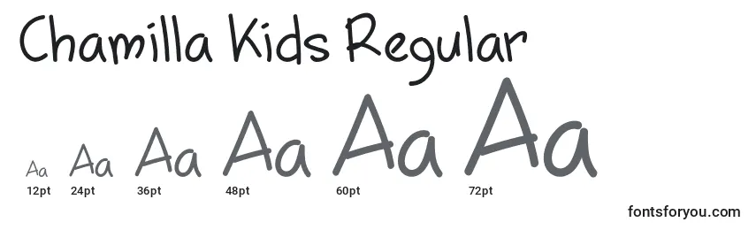 Размеры шрифта Chamilla Kids Regular