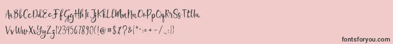 Chamille Font – Black Fonts on Pink Background