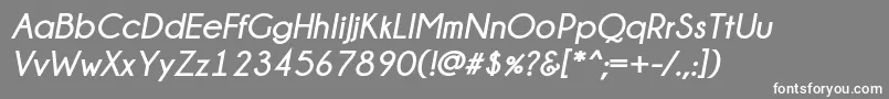 Champagne  Limousines Bold Italic Font – White Fonts on Gray Background