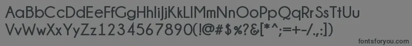 Champagne  Limousines Bold Font – Black Fonts on Gray Background