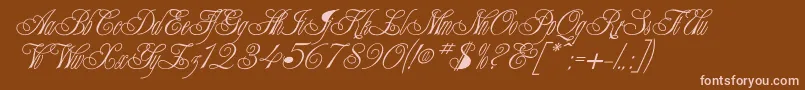 CHAMPGNE Font – Pink Fonts on Brown Background