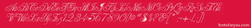 CHAMPGNE Font – Pink Fonts on Red Background