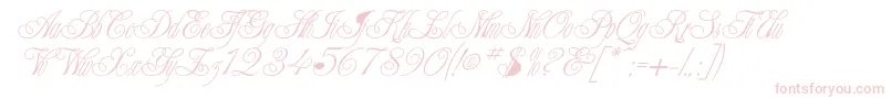 CHAMPGNE Font – Pink Fonts on White Background