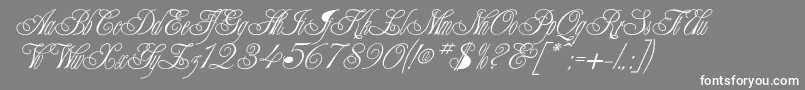 CHAMPGNE Font – White Fonts on Gray Background