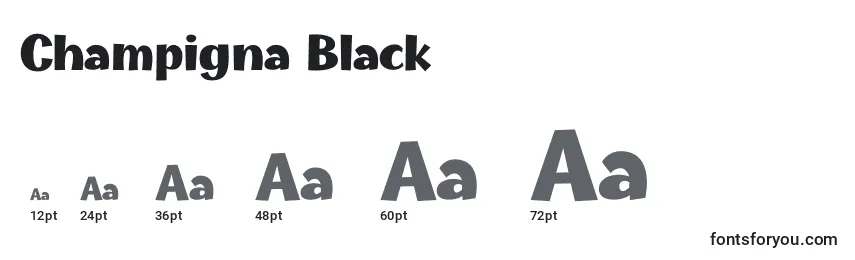 Размеры шрифта Champigna Black