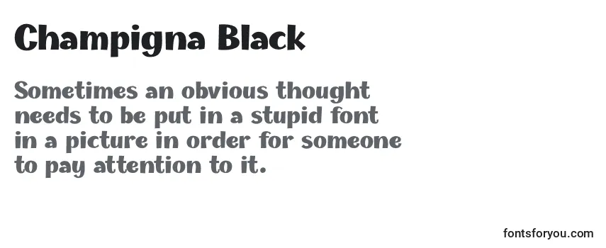 Шрифт Champigna Black