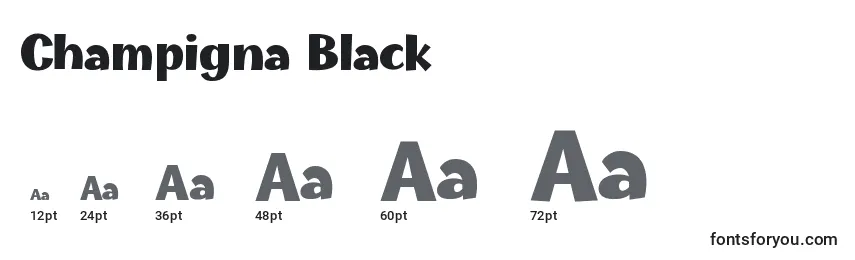 Размеры шрифта Champigna Black (123096)