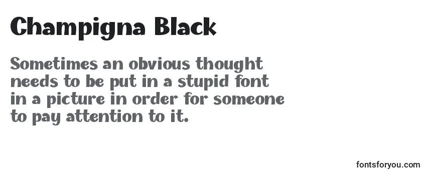 Champigna Black (123096) フォントのレビュー
