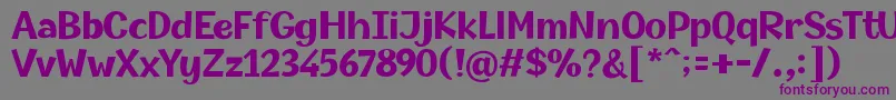 Champigna Bold Font – Purple Fonts on Gray Background