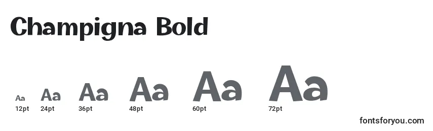 Champigna Bold (123098) Font Sizes