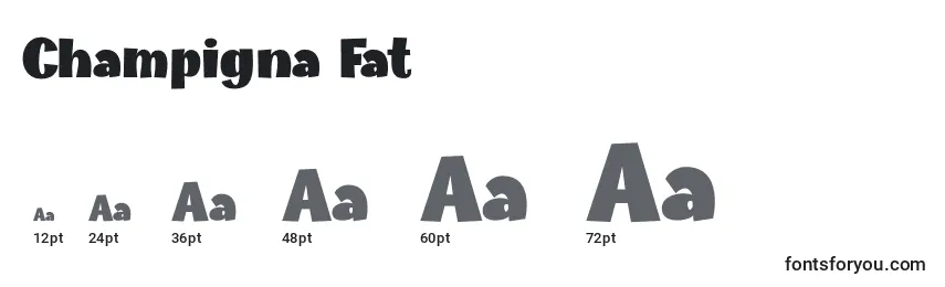 Размеры шрифта Champigna Fat
