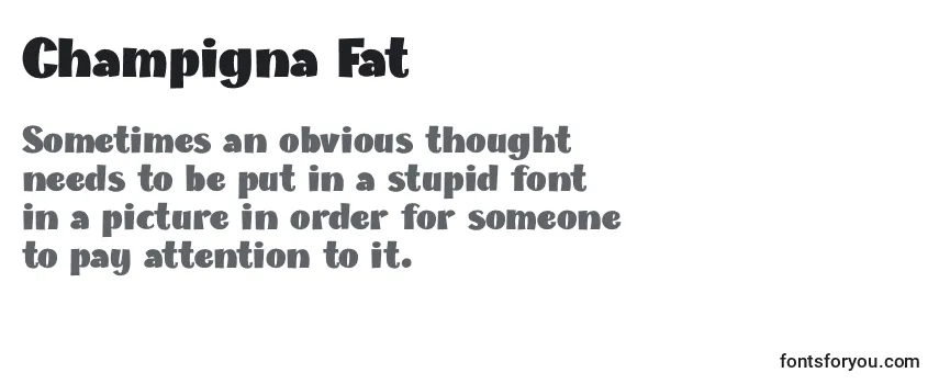Review of the Champigna Fat Font