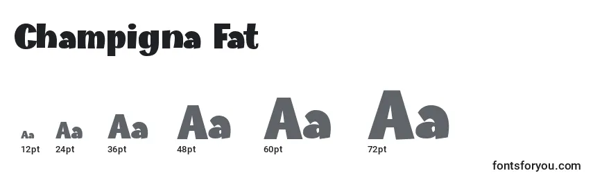 Размеры шрифта Champigna Fat (123100)