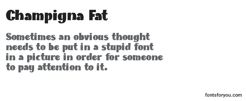 Review of the Champigna Fat (123100) Font