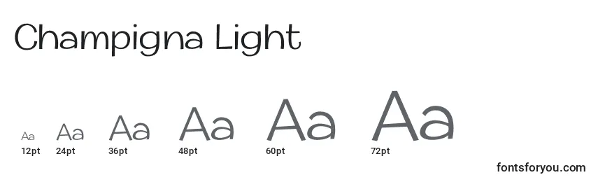 Размеры шрифта Champigna Light