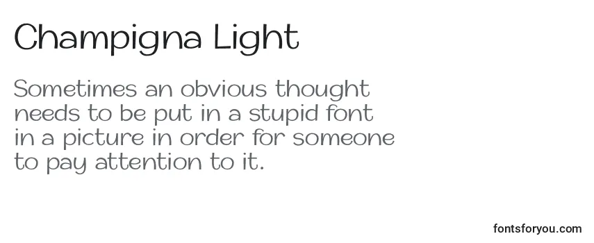 Обзор шрифта Champigna Light