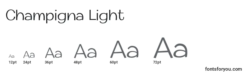 Champigna Light (123102) Font Sizes
