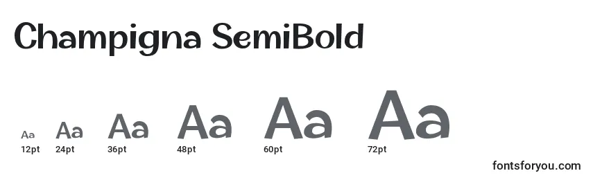 Размеры шрифта Champigna SemiBold (123104)