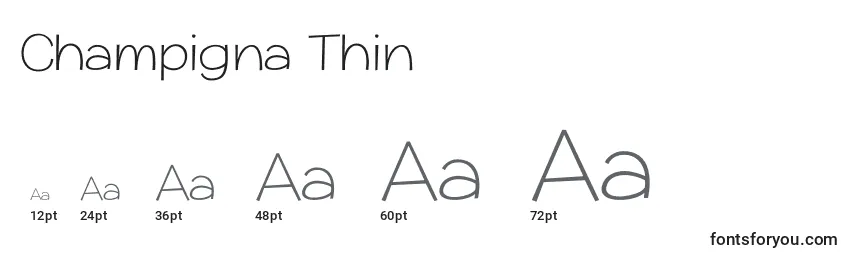 Размеры шрифта Champigna Thin