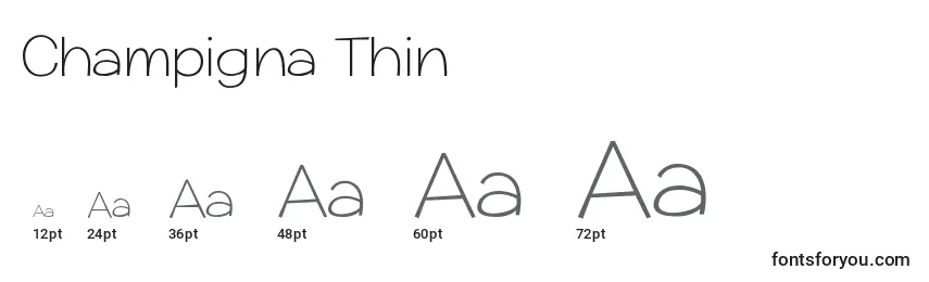 Размеры шрифта Champigna Thin (123106)