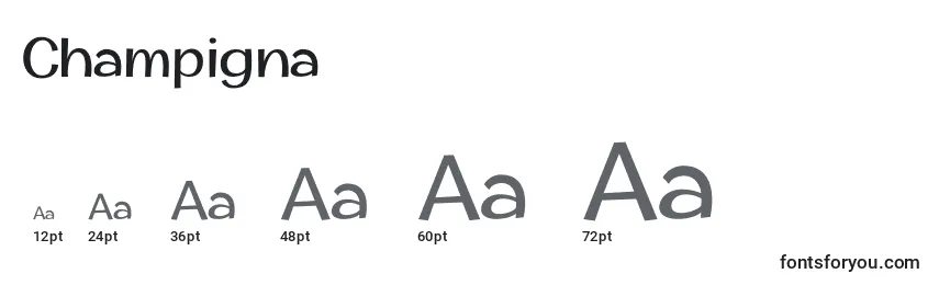 Размеры шрифта Champigna
