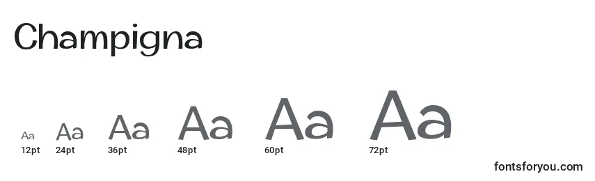 Размеры шрифта Champigna (123108)
