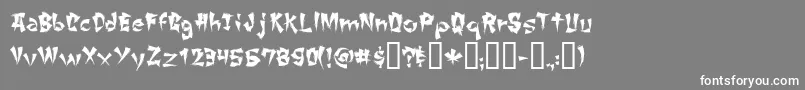 More about ChangChang Font ChangChang Font – White Fonts on Gray Background