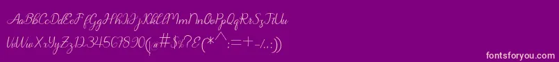Chanteka Font – Pink Fonts on Purple Background