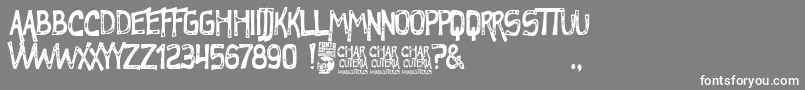 fuente Charcuteria – Fuentes Blancas Sobre Fondo Gris