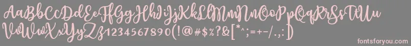 フォントCharilla Font by Situjuh 7NTypes – 灰色の背景にピンクのフォント