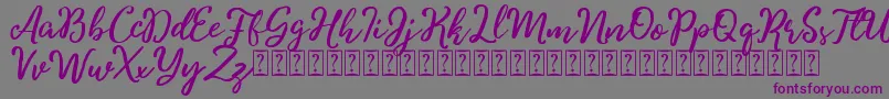 Charitta Font – Purple Fonts on Gray Background