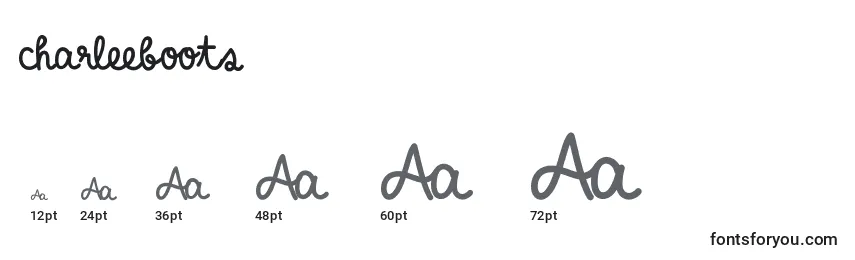Charleeboots Font Sizes