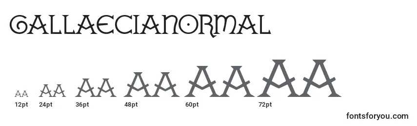 Размеры шрифта GallaeciaNormal
