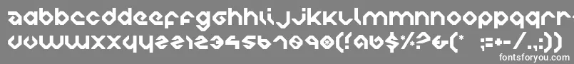 charliesangles Font – White Fonts on Gray Background