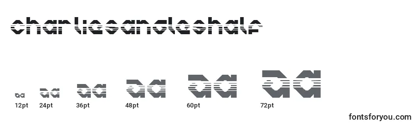 Размеры шрифта Charliesangleshalf