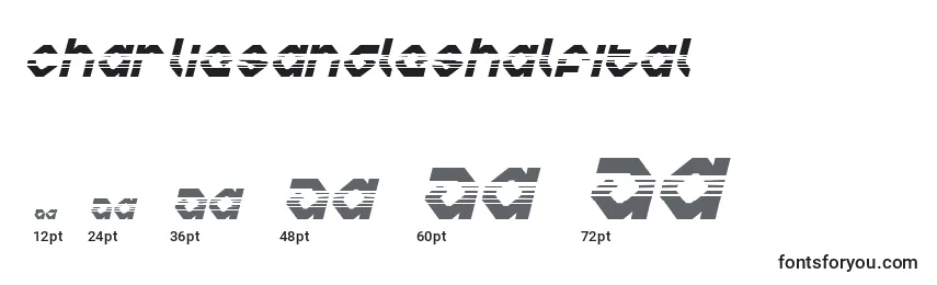 Размеры шрифта Charliesangleshalfital