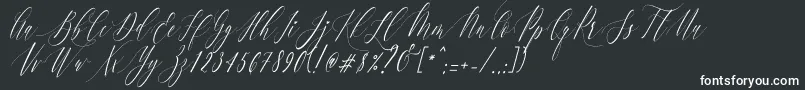 Шрифт Charlotte Calligraphy   Slant R1 – белые шрифты на чёрном фоне