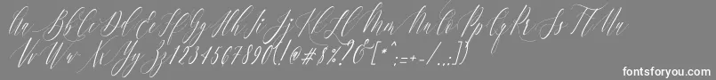 Charlotte Calligraphy   Slant R1-Schriftart – Weiße Schriften auf grauem Hintergrund