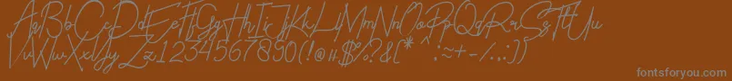 Шрифт Charlotte Regular – серые шрифты на коричневом фоне