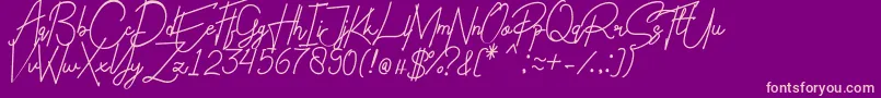 Charlotte Regular Font – Pink Fonts on Purple Background