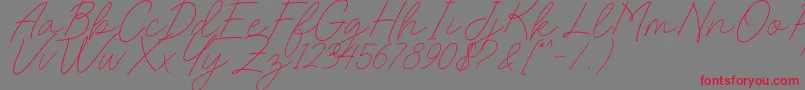 Charlotte Sweet Dafont Font – Red Fonts on Gray Background