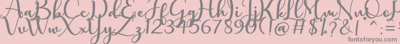 charlotte Font – Gray Fonts on Pink Background